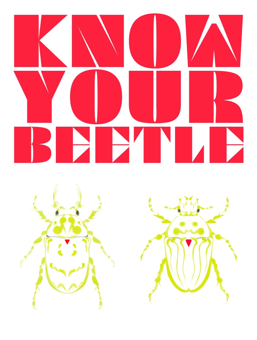Know Your Beetle logo